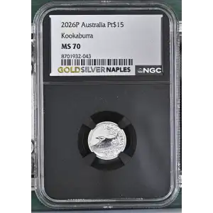 2026P Kookaburra (2)