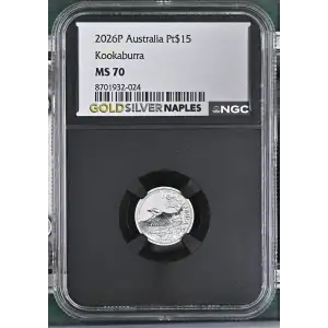 2026P Kookaburra (2)
