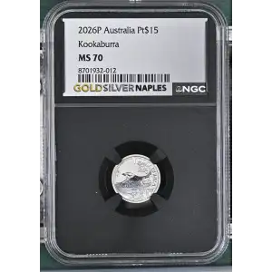 2026P Kookaburra (2)