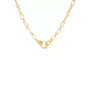 gold plated thin oval chain necklace - Marlyn Schiff 