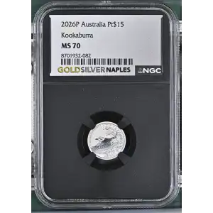 2026P Kookaburra (2)