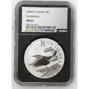 2026P Kookaburra (2)