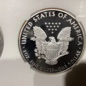 Silver Eagles