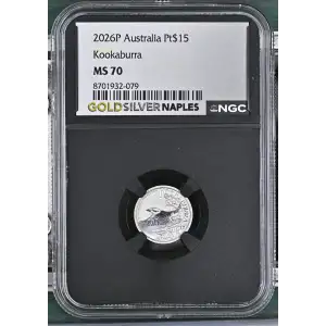 2026P Kookaburra (2)