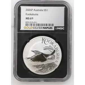 2026P Kookaburra (2)