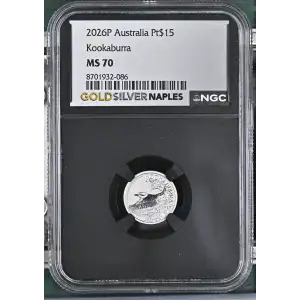 2026P Kookaburra (2)