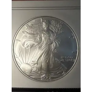 2006 FIRST STRIKES