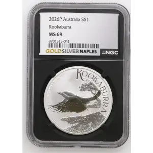 2026P Kookaburra (2)