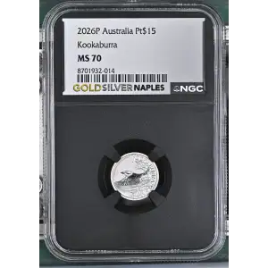 2026P Kookaburra (2)