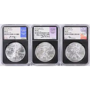 2018 1 oz Silver Eagle MS70 NGC