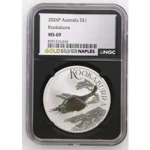 2026P Kookaburra (2)