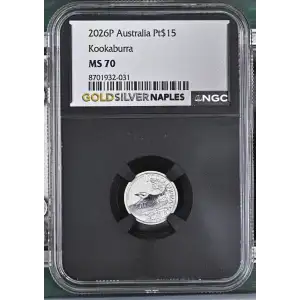 2026P Kookaburra (2)