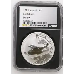 2026P Kookaburra (2)