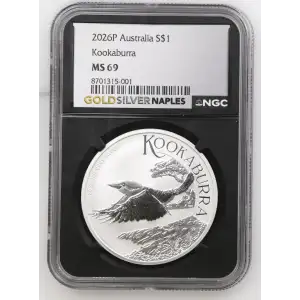 2026P Kookaburra (2)
