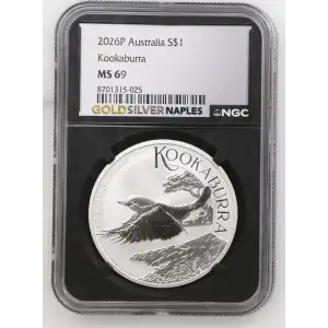 2026P Kookaburra (2)