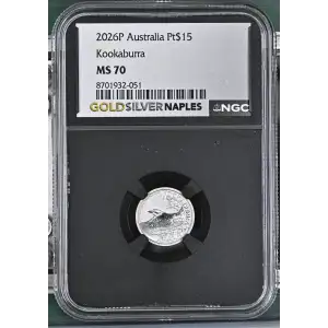 2026P Kookaburra (2)