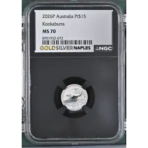 2026P Kookaburra (2)