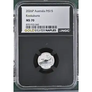 2026P Kookaburra (2)