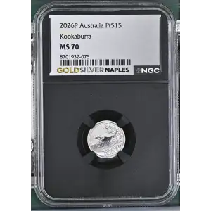 2026P Kookaburra (2)