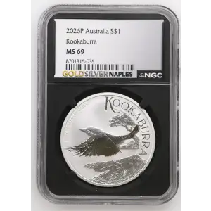 2026P Kookaburra (2)
