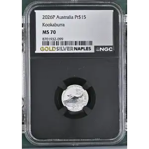 2026P Kookaburra (2)