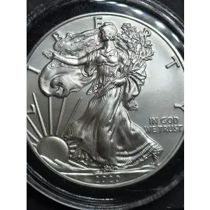 Silver Eagles
