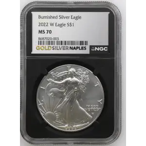 2022 W Burnished Silver Eagle (2)