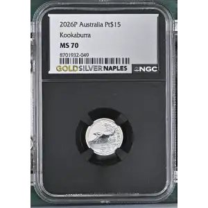 2026P Kookaburra (2)