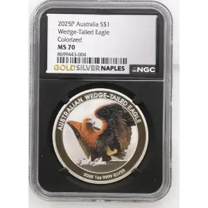 2025P Wedge-Tailed Eagle Colorized (2)