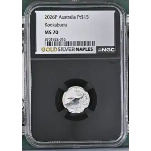 2026P Kookaburra (2)