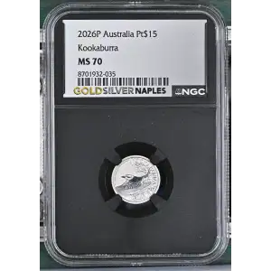 2026P Kookaburra (2)