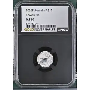 2026P Kookaburra (2)