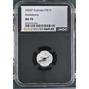 2026P Kookaburra (2)
