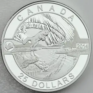 2014 $25 Arctic Fox and Northern Lights, DCAM