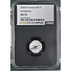 2026P Kookaburra (2)