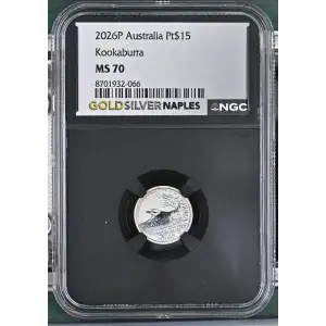 2026P Kookaburra (2)