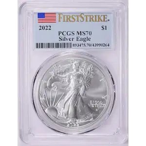 2022 1 oz Silver Eagle PCGS MS70
[B-8]