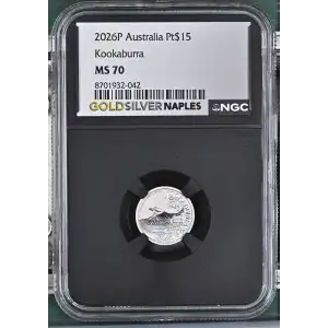 2026P Kookaburra (2)