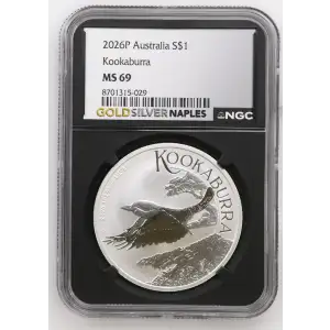 2026P Kookaburra (2)