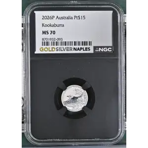 2026P Kookaburra (2)