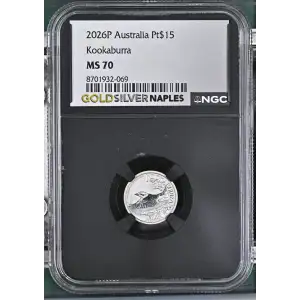 2026P Kookaburra (2)
