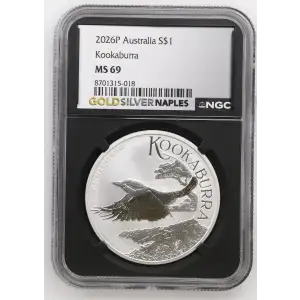 2026P Kookaburra (2)