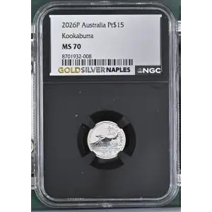 2026P Kookaburra (2)