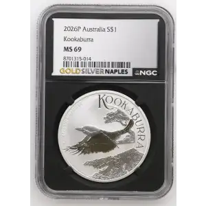 2026P Kookaburra (2)