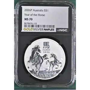 2026P Year of the Horse (2)