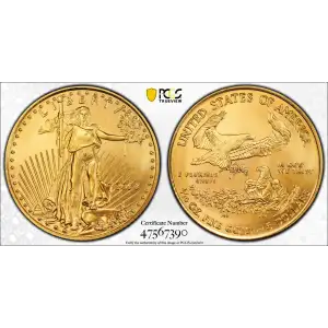 2014 $5 Gold Eagle (2)