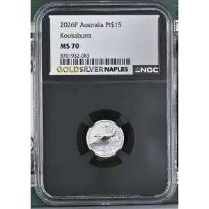 2026P Kookaburra (2)