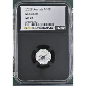 2026P Kookaburra (2)