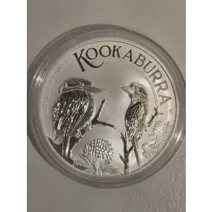 Silver Eagles