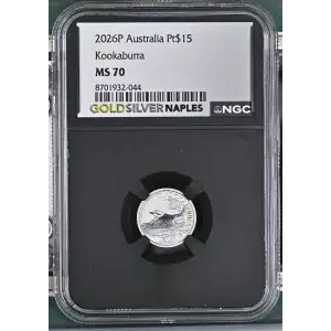 2026P Kookaburra (2)